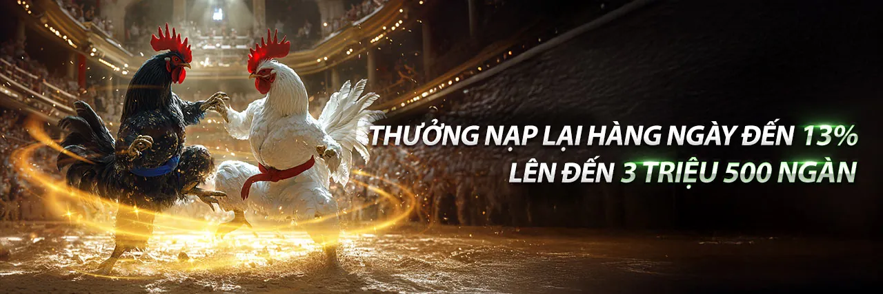 Sân đấu gà kịch tính tại mb661 link vào